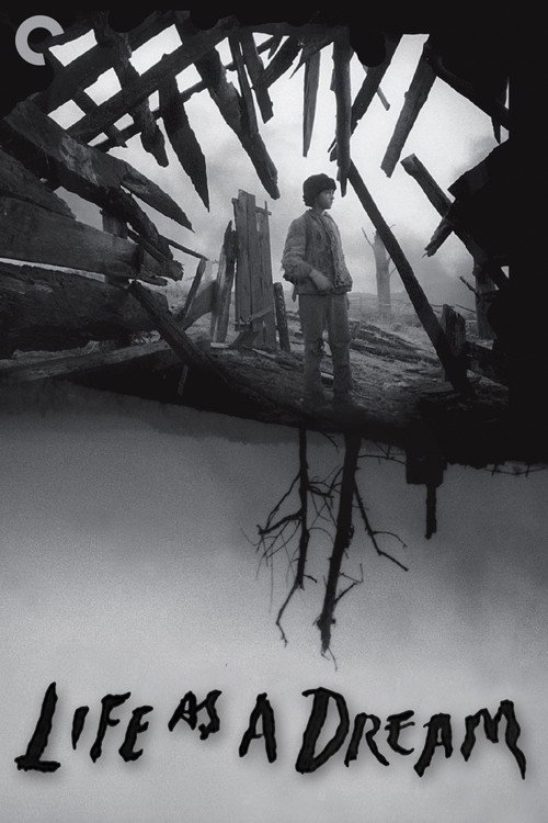 Movie poster for Life as a Dream (2007)
