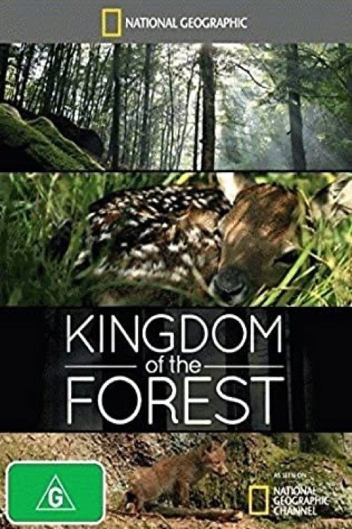 Movie poster for Kingdom of the Forest (2011)
