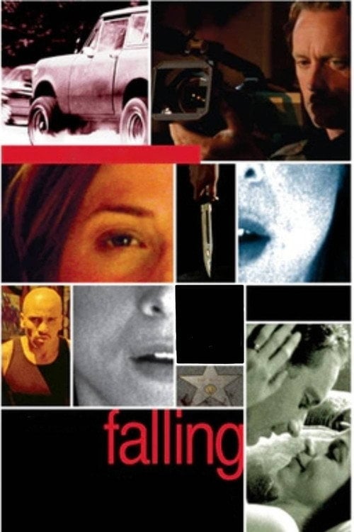 Movie poster for Falling (2008)
