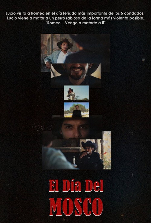Movie poster for The day of the mosquito (2025)