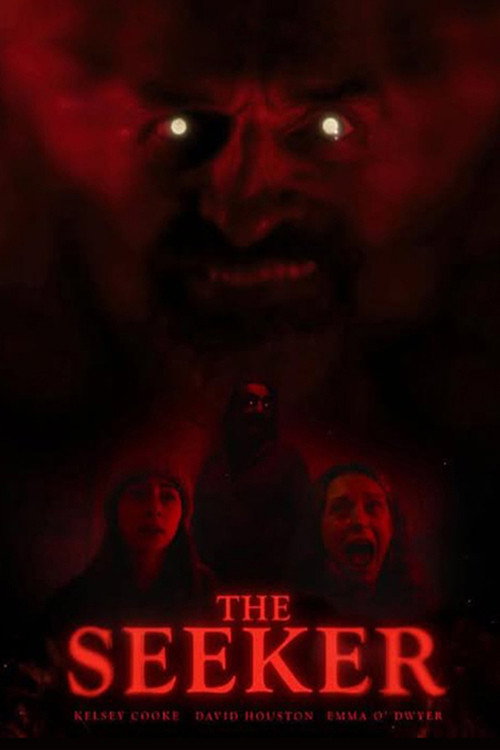 Movie poster for THE SEEKER (2025)