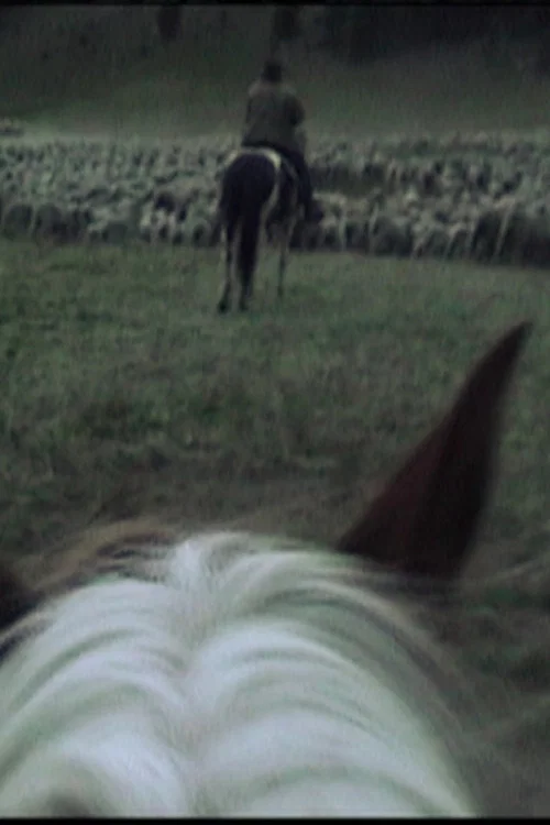 Movie poster for Bedding Down (2012)