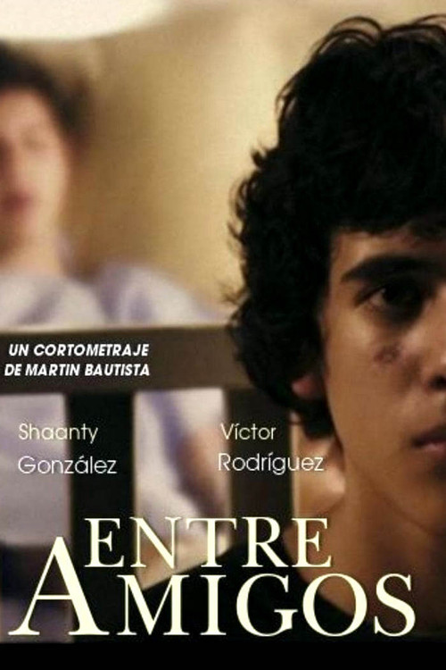 Movie poster for Between Friends (2010)