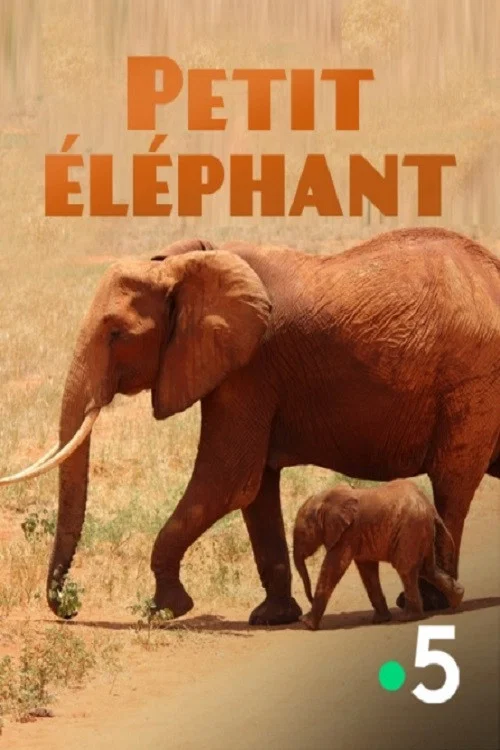 Movie poster for Small Elephant (2015)