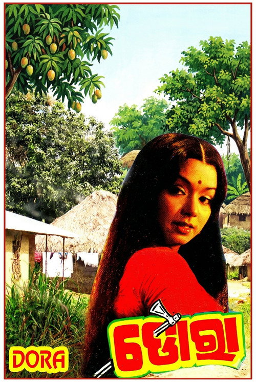Movie poster for Dora (1984)