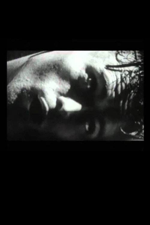 Movie poster for The Hunger Artist (1995)