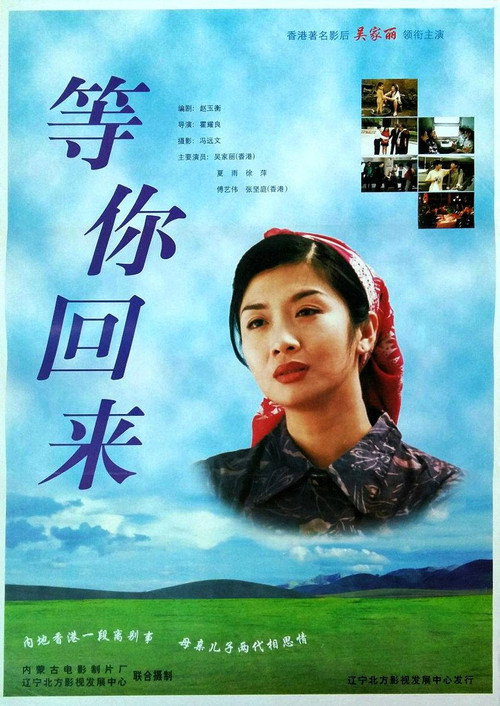 Movie poster for Wait For Your Coming Back (1997)