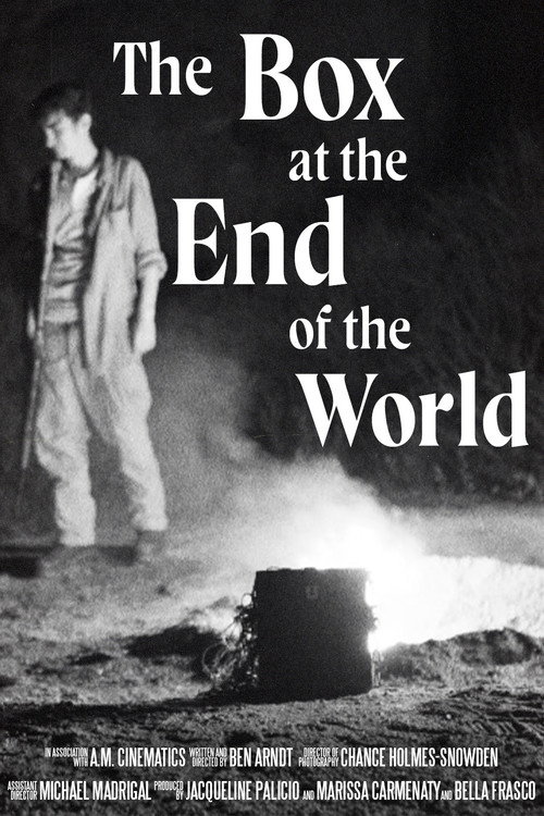Movie poster for The Box at the End of the World