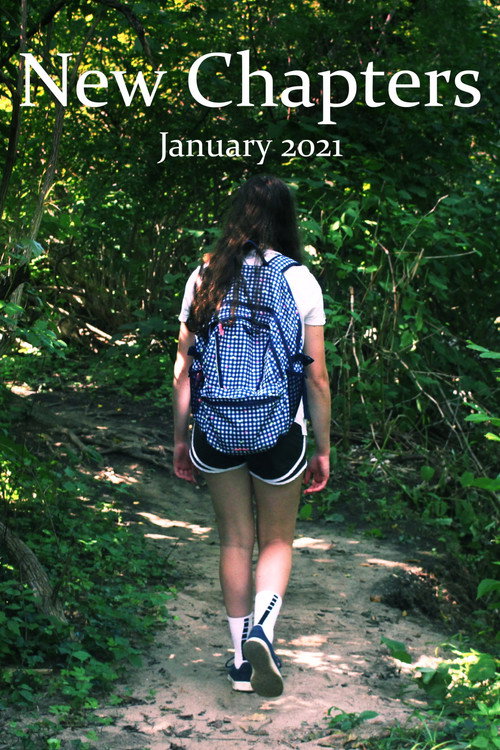 Movie poster for New Chapters (2021)