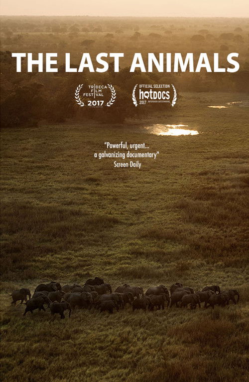 Movie poster for The Last Animals (2017)