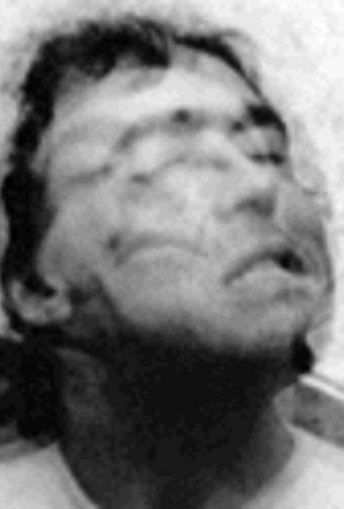 Movie poster for Twitch and Shout (1995)