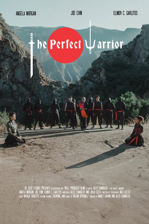 Movie poster for The Perfect Warrior