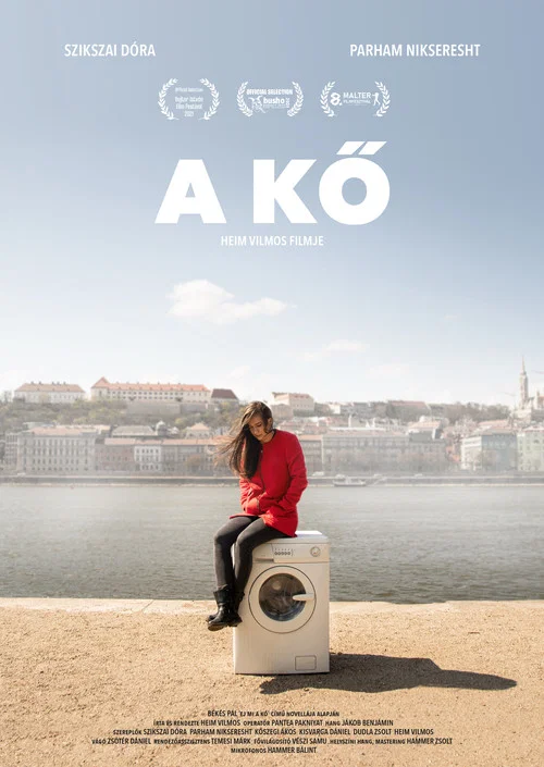Movie poster for The Stone (2021)