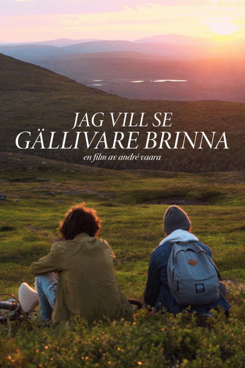 Movie poster for I Want to See Gellivare Burn (2019)