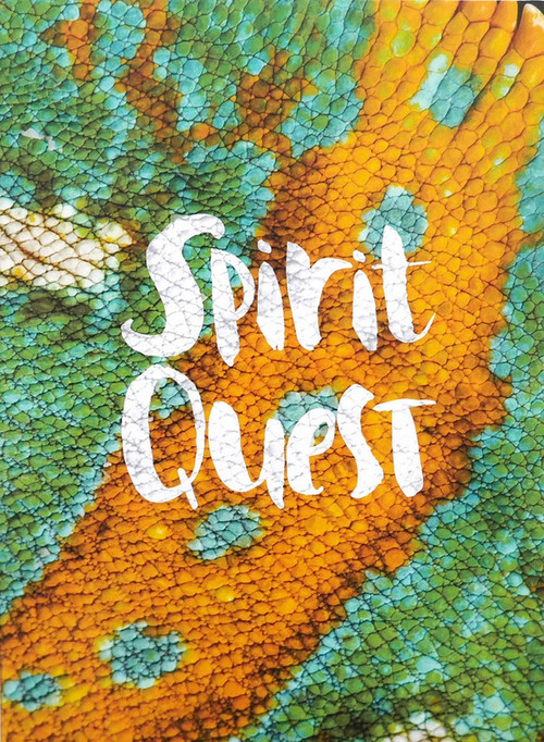 Movie poster for Spirit Quest (2016)