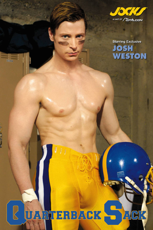 Movie poster for Quarterback Sack (2003)