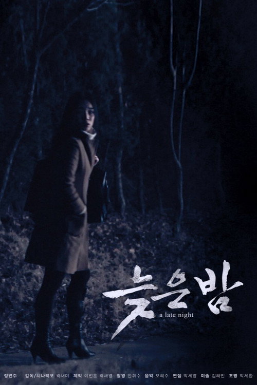 Movie poster for A Late Night (2012)