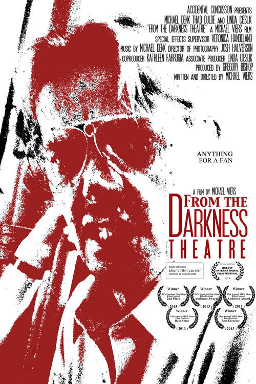 Movie poster for From the Darkness Theatre (2013)
