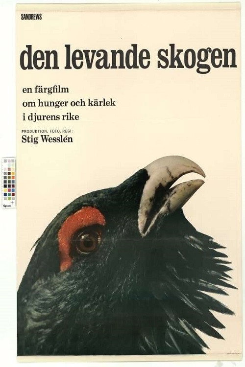 Movie poster for The Living Forest (1966)