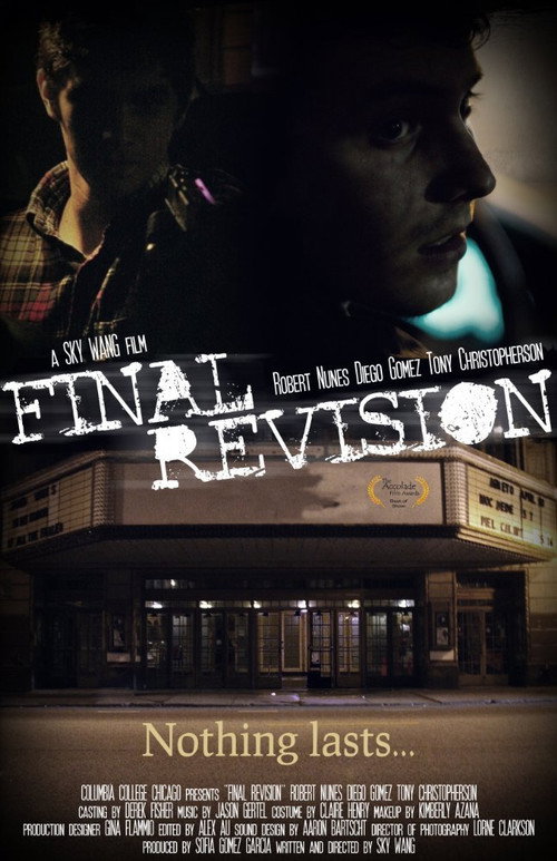 Movie poster for Final Revision (2010)