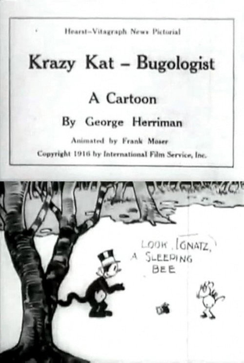 Movie poster for Krazy Kat, Bugologist (1916)