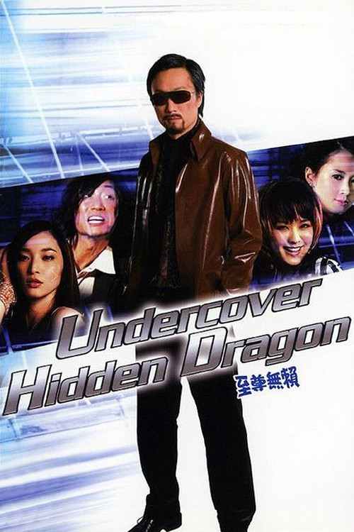 Movie poster for Undercover Hidden Dragon (2006)