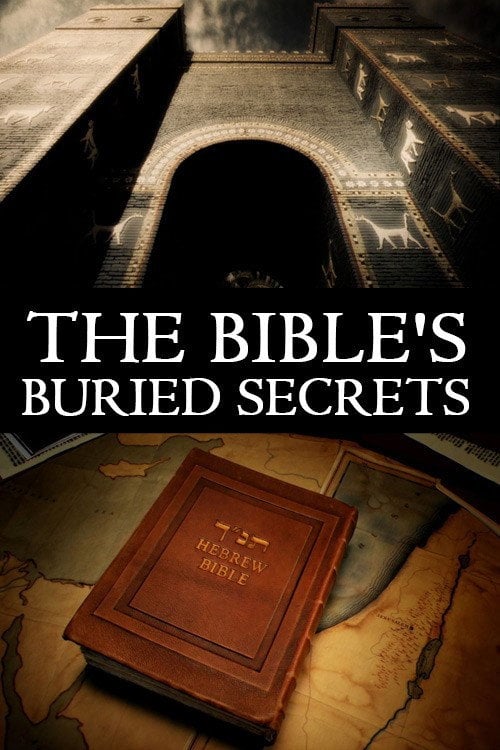 Movie poster for The Bible's Buried Secrets (2008)