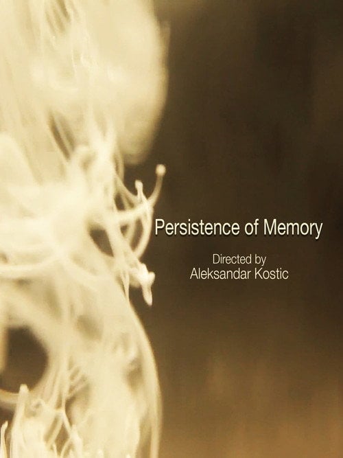 Movie poster for Persistence of Memory (2012)
