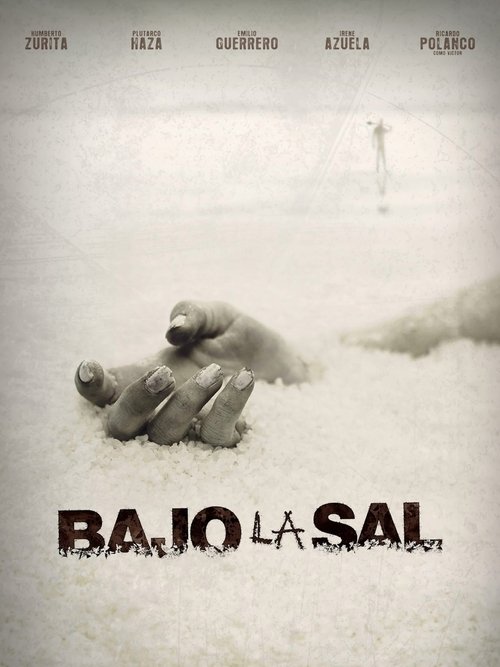 Movie poster for Under the Salt (2008)