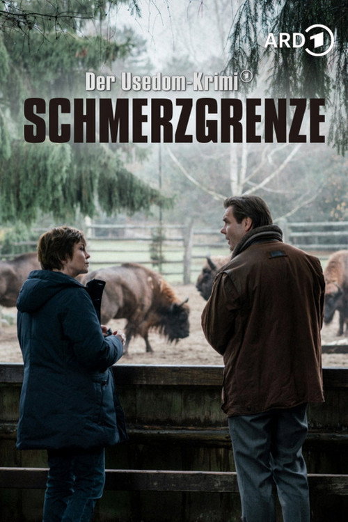 Movie poster for Schmerzgrenze - Der Usedom-Krimi (2020)