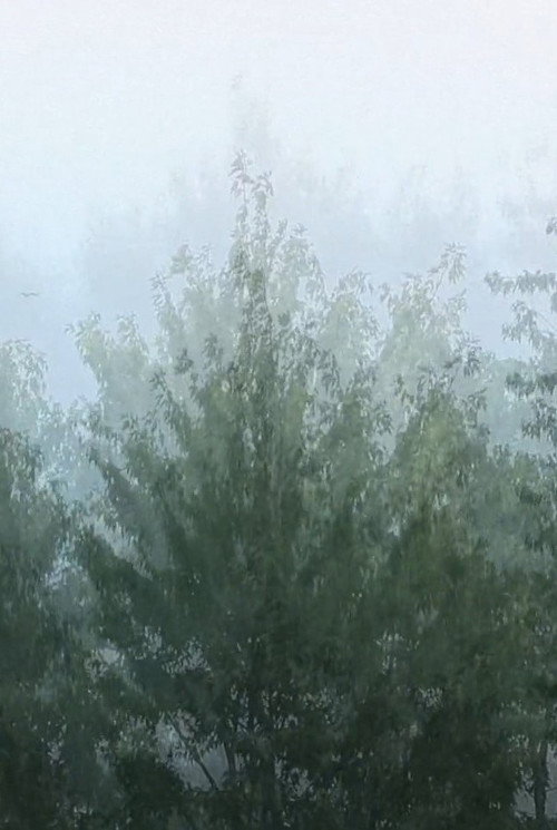 Movie poster for Wind (2019)
