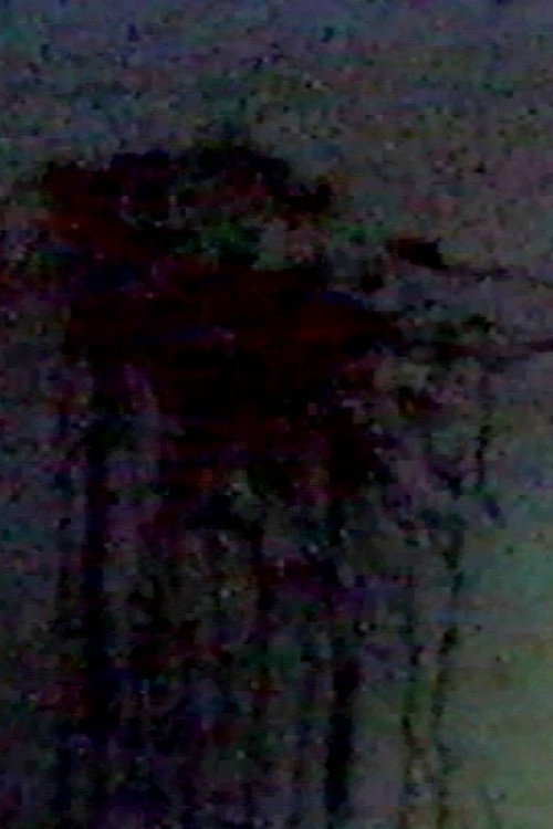 Movie poster for My Bloody Dream - Verse II (1988)