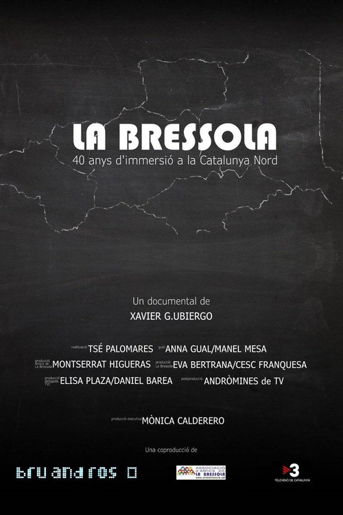 Movie poster for La Bressola. 40 anys d'immersió a la Catalunya Nord (2019)