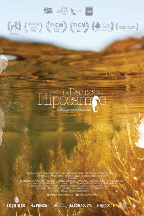 Movie poster for The Dance of Memory (2014)