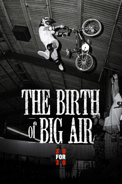 Movie poster for The Birth of Big Air (2010)