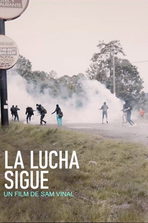 Movie poster for The Struggle Continues (2021)