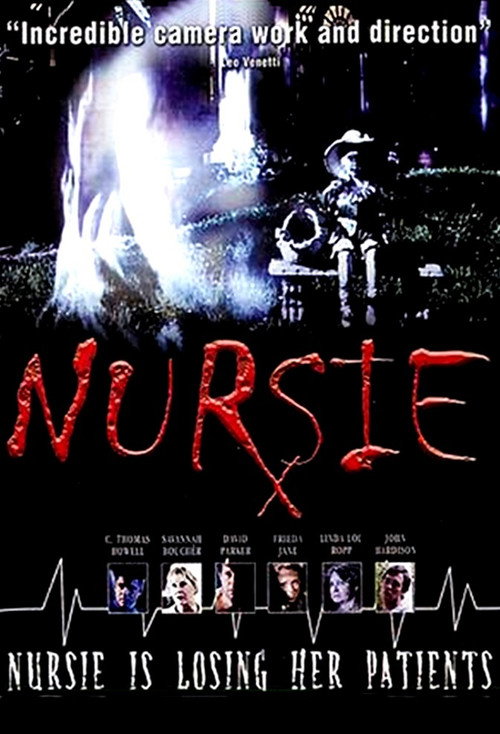 Movie poster for Nursie (2004)