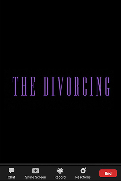 Movie poster for The Divorcing (2020)