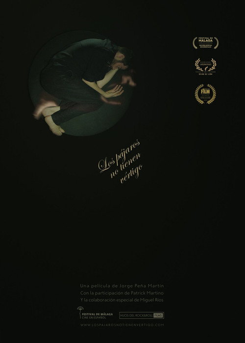 Movie poster for Los pájaros no tienen vértigo (2017)