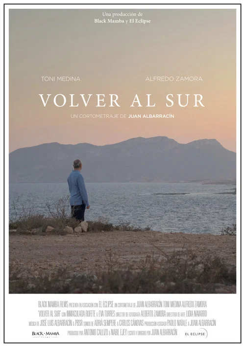 Movie poster for Volver al sur (2021)