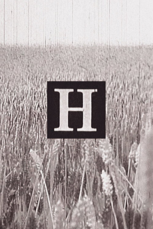 Movie poster for H (1973)