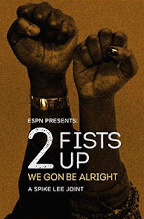 Movie poster for 2 Fists Up (2016)