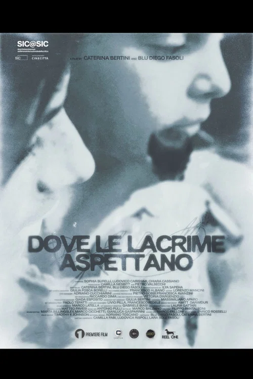Movie poster for Where The Tears Await
