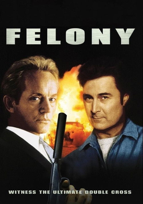 Movie poster for Felony (1996)