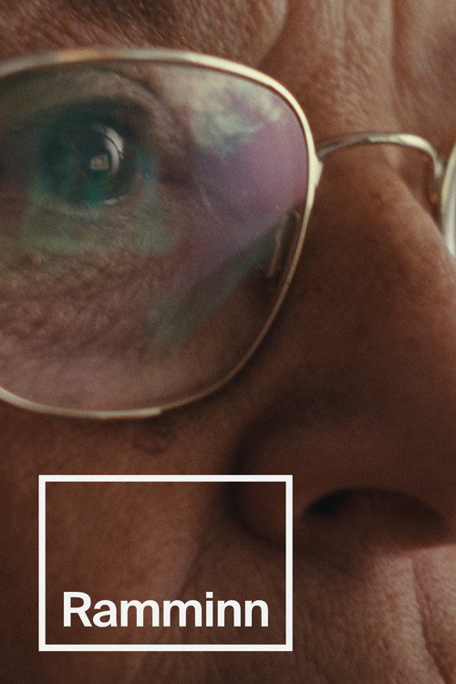 Movie poster for The Frame (2025)