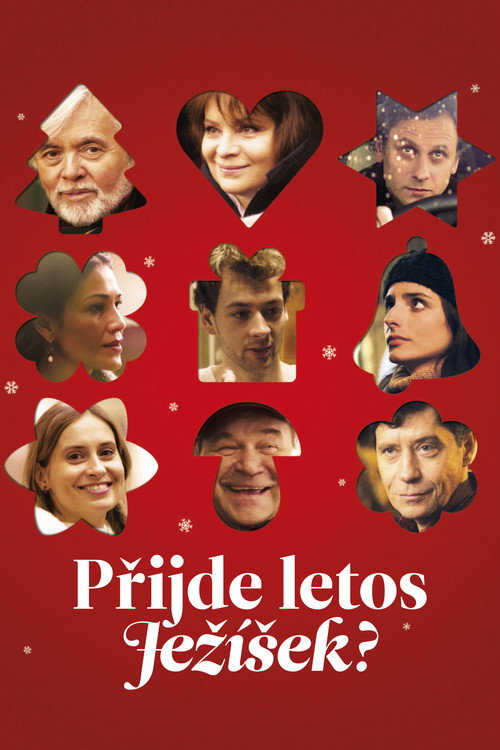 Movie poster for Little Baby Jesus (2013)