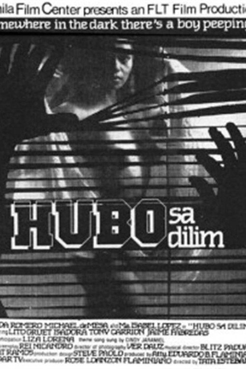 Movie poster for Hubo sa dilim (1985)
