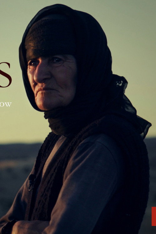 Movie poster for Last Christians (2018)