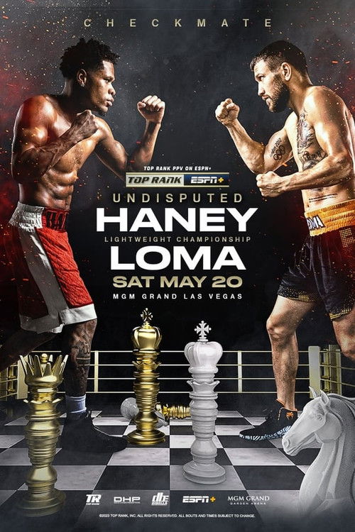 Series poster for Blood, Sweat & Tears: Haney vs. Lomachenko (2023)