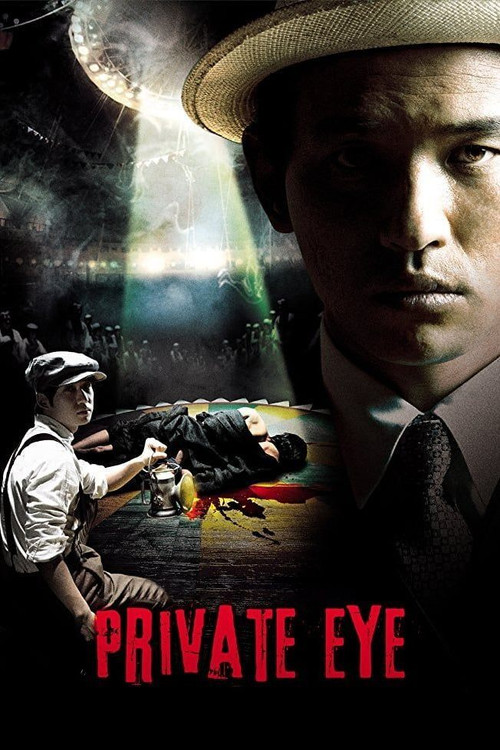 Movie poster for Private Eye (2009)